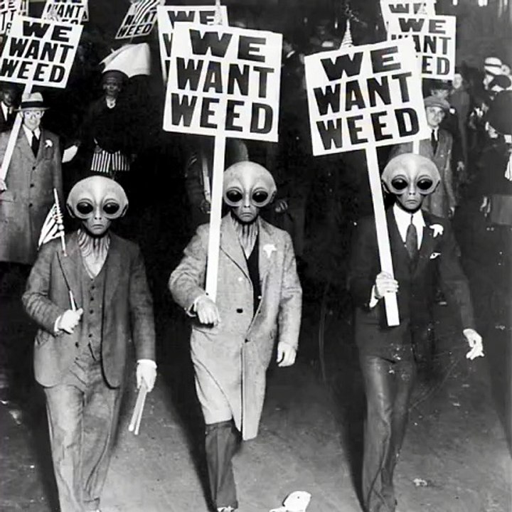WE NEED WEED WITH ALIENS