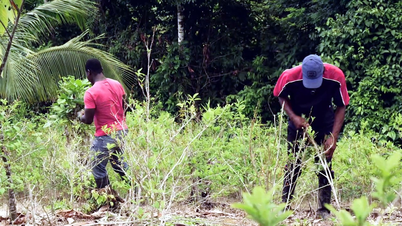 Guerras Ajenas (Wars of Others, 2016) War on drugs in Colombia