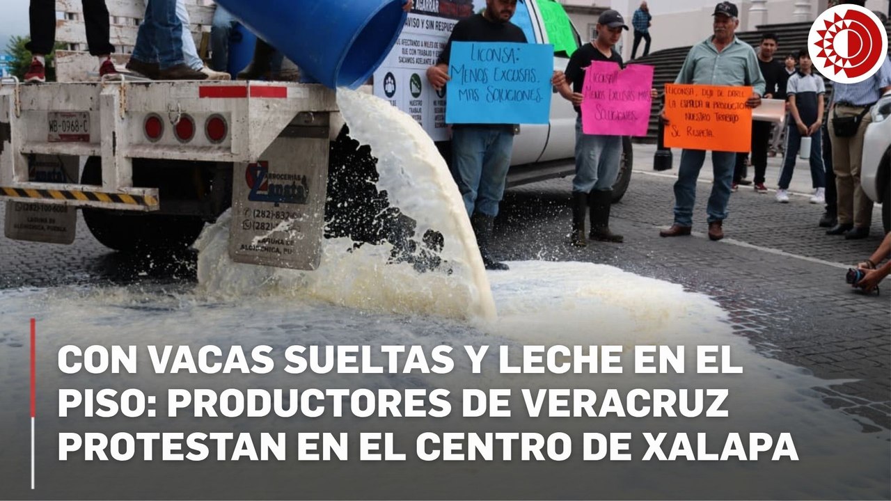 Productores denuncian cancelación de códigos en Leche para el Bienestar; hay 20 mil litros diarios sin destino