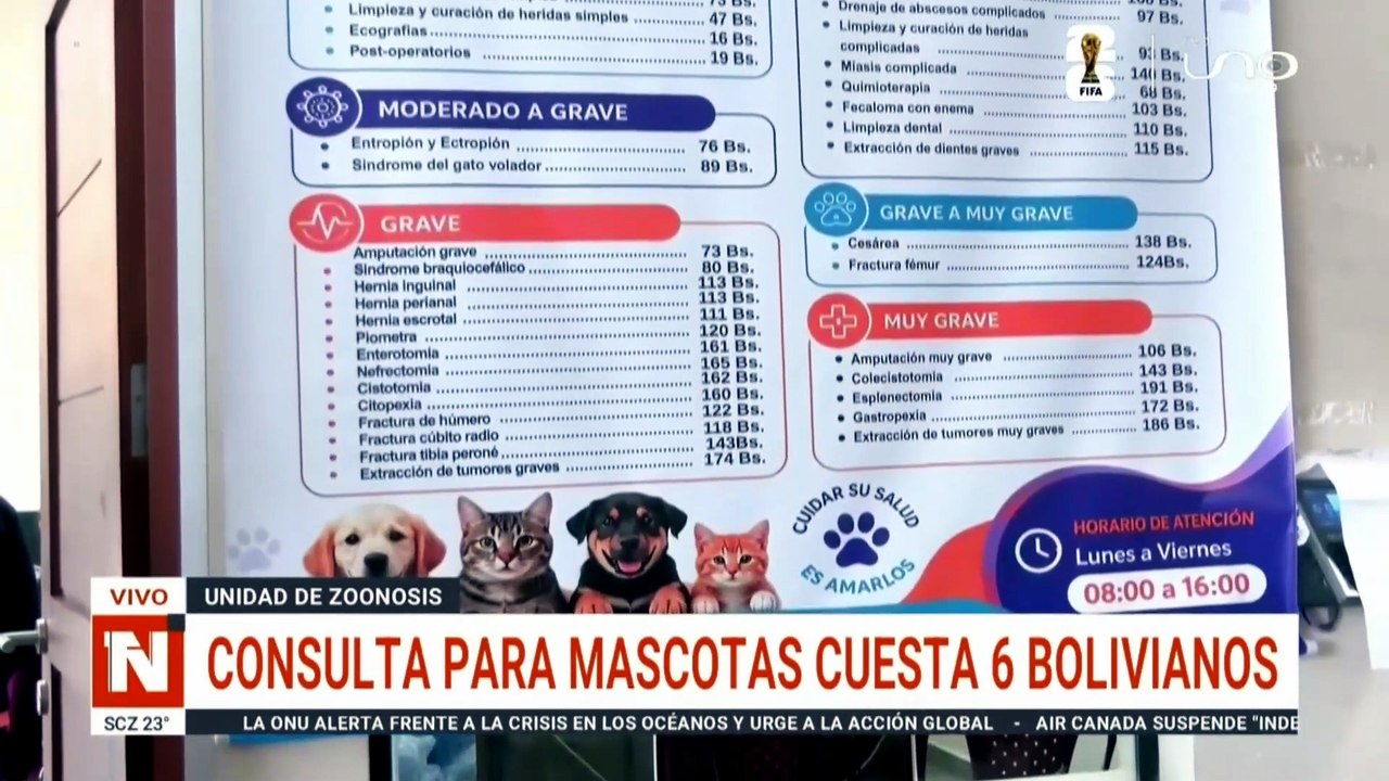 CLÍNICA DE MASCOTAS CBBA
