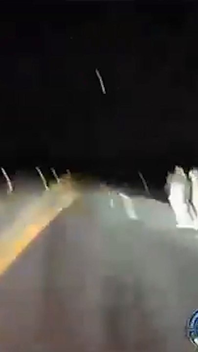 Dozens of illegal migrants rescued from burning trailer