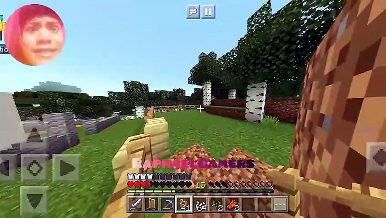 Minecraft Randoms Gameplay |Part 35 (Facecam)