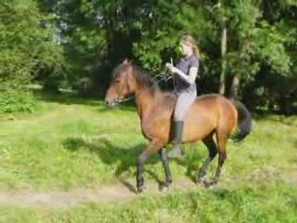 taiga 18 juin