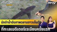 นักดำน้ำจับภาพฉลามขาวเต็มวัยที่ทะเลเมดิเตอร์เรเนียนครั้งแรก|ทันโลก EXPRESS |10 มิ.ย. 69
