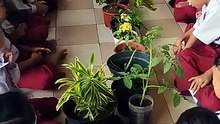 ceria hari ini