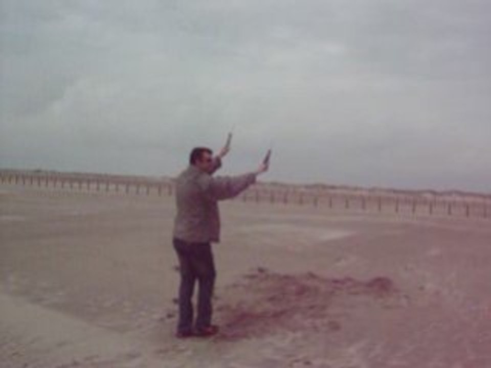 cerf volant de traction