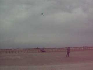 cerf volant de fou