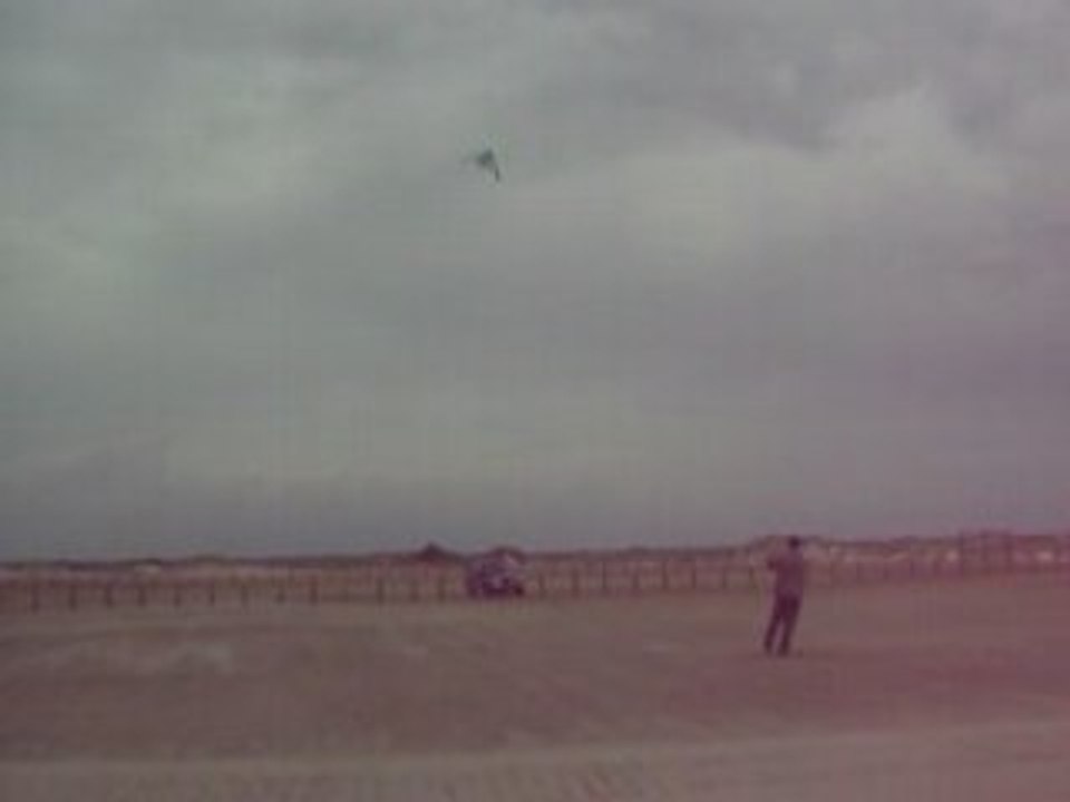 cerf volant de fou