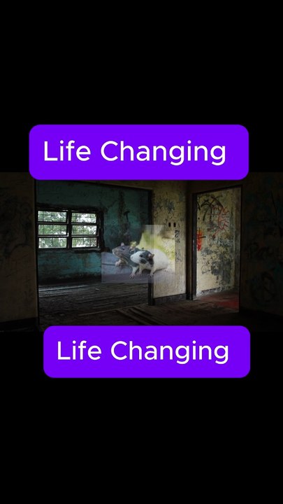 The Biggest Mistake People Make When Life Changes | Hindi Motivation #Shorts