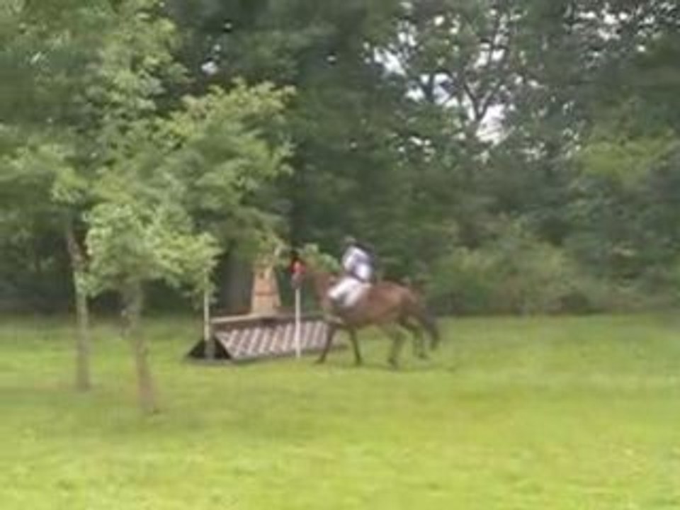Peisha cross A vendre