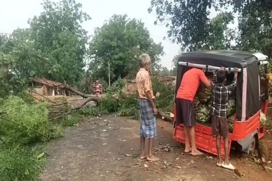 सरगुजा में आंधी-बारिश ने मचाई तबाही, ढहा घर, उखड़ गए कई पेड़ और बिजली के खंभे, Video में देखें मंजर