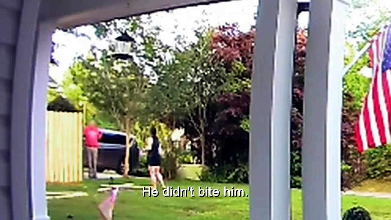 Neighborhood Wars S9E9
