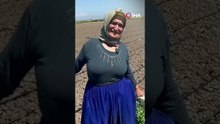 70 yaşında, belinde 8 platin... Çalışma azmiyle tarlada!