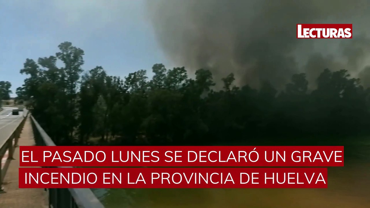Las impactantes imágenes del grave incendio en Huelva: 400 personas luchan por apagarlo