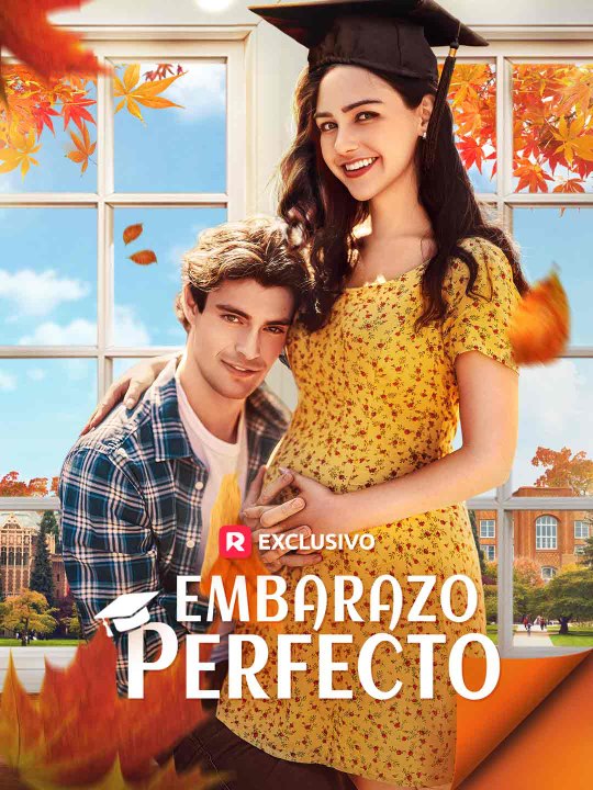 Embarazo Perfecto serie completa