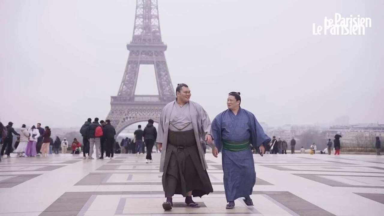 Dans l'antre des sumos au Japon avant leur grand retour à Paris