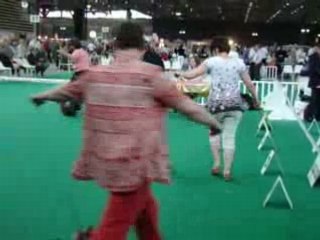 Championnat de France 2008 - Boogie york