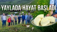 Dedelerinden kalan mirası devam ettiriyorlar: Yaylada hayat başladı