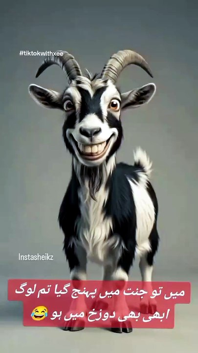 #goat