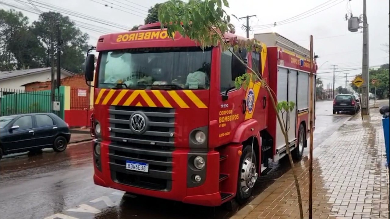 Ação dos bombeiros garante segurança de cadela e filhotes durante temporal