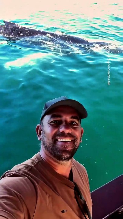 Vídeo: Baleia-jubarte "conversa" e interage com cinegrafista em Arraial do Cabo