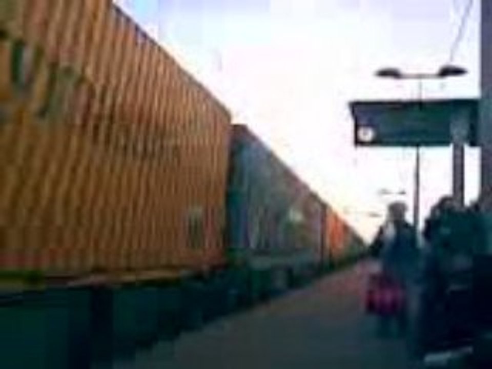 Treno merci a Sesto