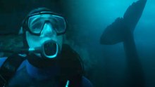 Er hat sich das nicht ausgesucht: Im Survival-Thriller Whalefall wird ein Taucher vom Wal verschluckt und kämpft im Inneren ums Überleben