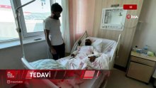 Bingöl'de mantar toplarken ayı saldırısına uğradı