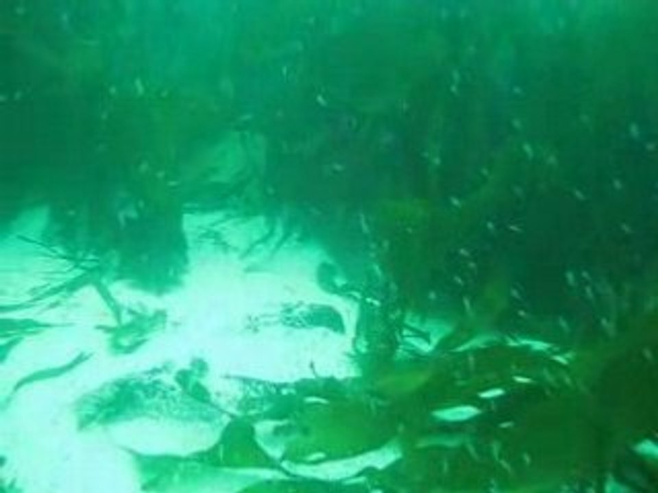 18metres
