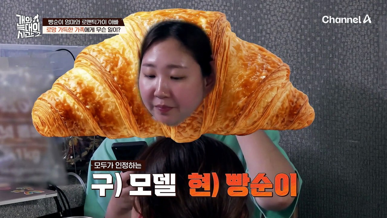 빵순이 엄마와 로맨틱가이 아빠 밑 귀여운 강아지 세 마리! 이 로망 가득한 가족에게...