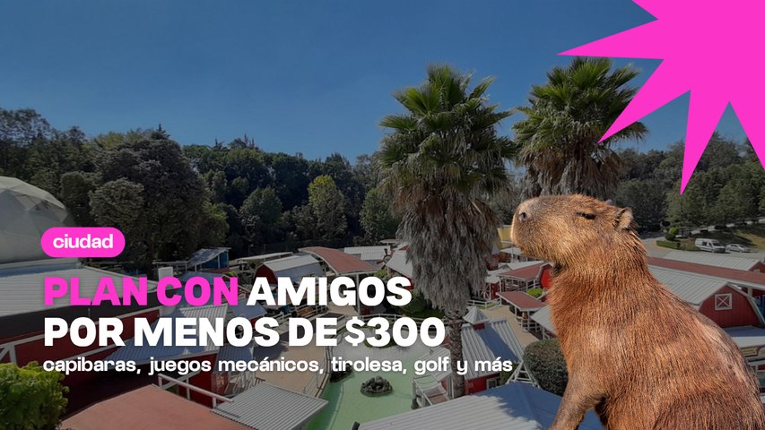 Plan con amigos en CDMX por $299: capibaras, go karts y más