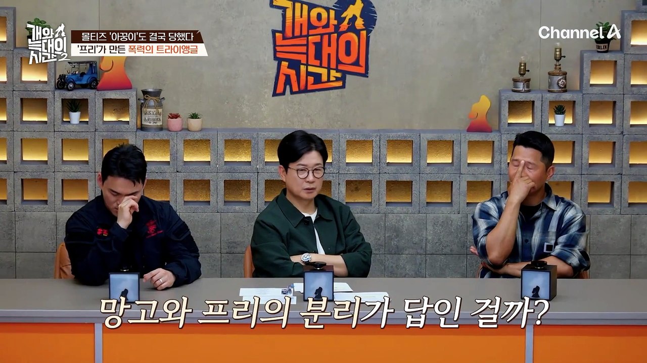 "아꿍이는 안 건드리는 게 아니네" '프리'가 만든 폭력의 트라이앵글