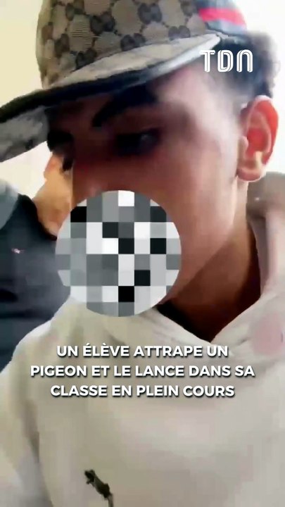 Un élève attrape un pigeon et le lance dans sa classe en plein cours (vidéo)