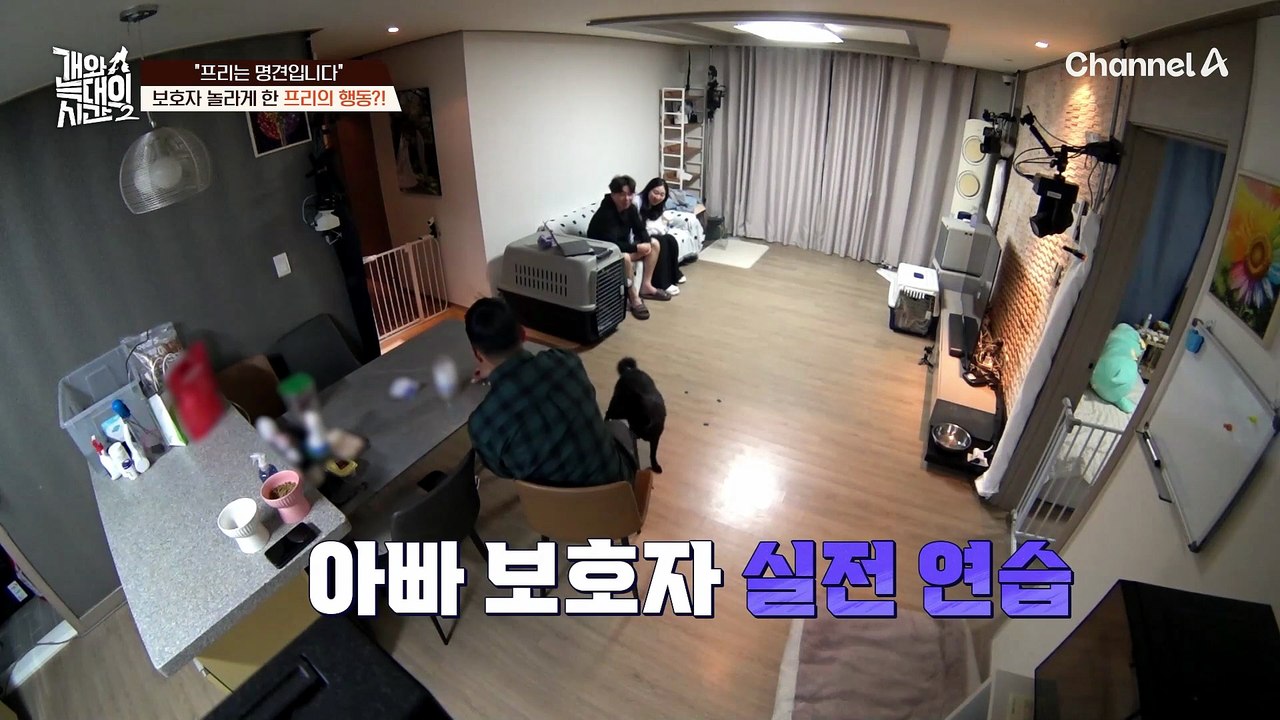 "프리는 명견입니다" 보호자를 놀라게 한 프리의 행동?!