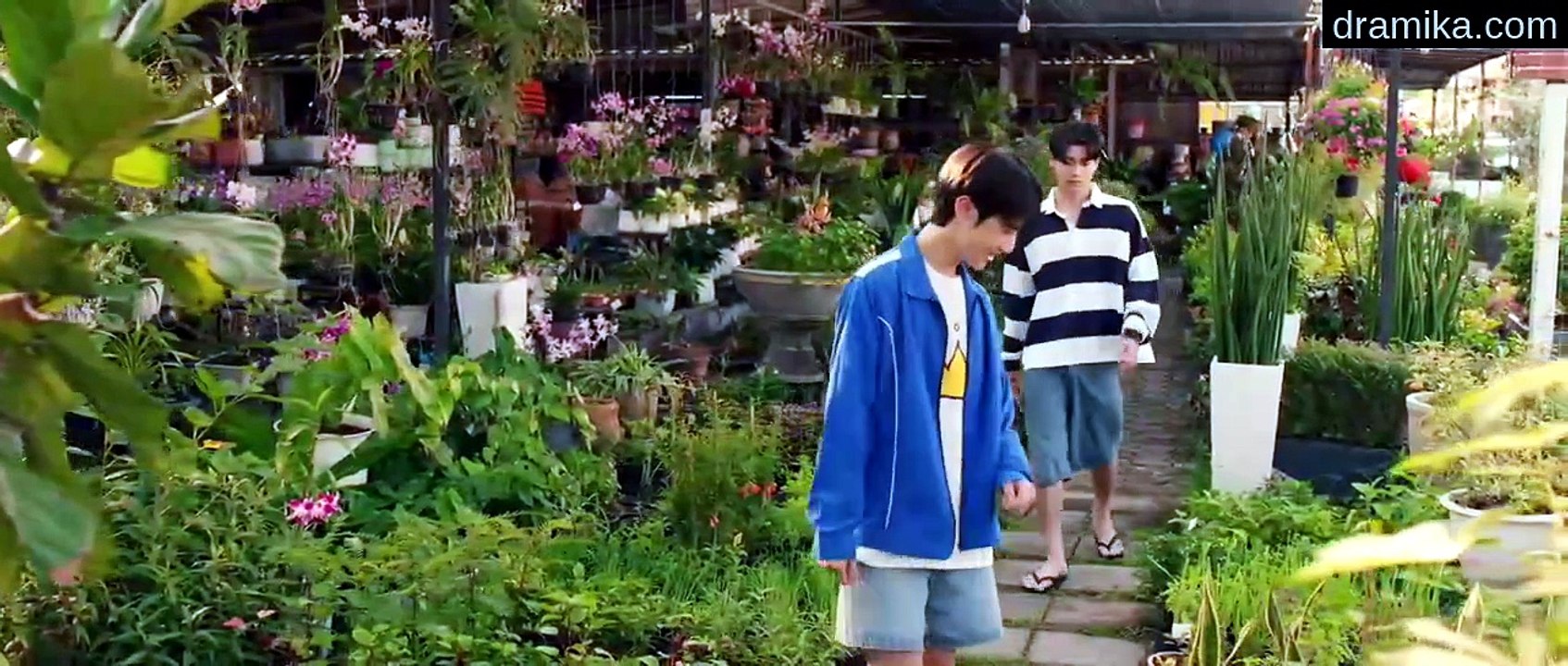 When oranges fall episode 5