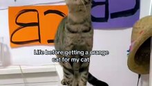 😮😮😮 #viral