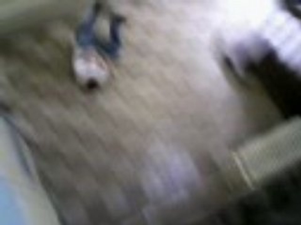 Vidéo-0001_3