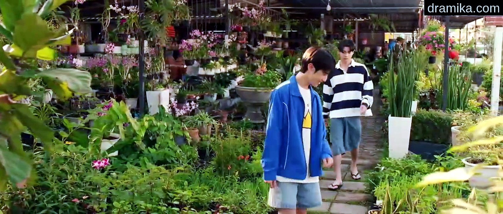 [ENG] EP.5 When Oranges Fall (2026)