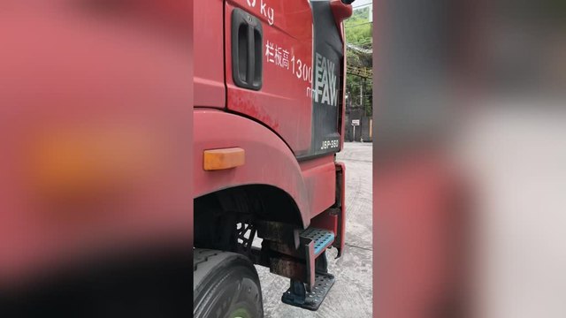Truck Driver Adopts Three Tiny Birds Nesting on His Vehicle