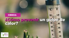 ¿Cómo prevenir un golpe de calor?