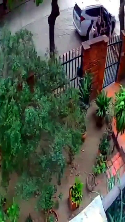 Ataque a reconocido periodista quedó en video