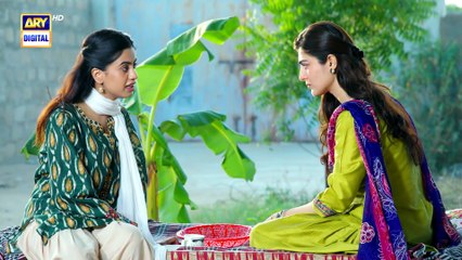 Mirza Ki Heer | Ep 17 | Hina Afridi | Ali Raza | Zahid Ahmed | 10 June 2026 | ARY Digital
