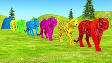 Paint Animals Tiger Cheetah Cartoon Big Cats Fountain Crossing Animal Cartoon thumnail