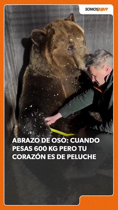 El tierno abrazo de oso que se viralizó a través de Instagram de Somos Jujuy