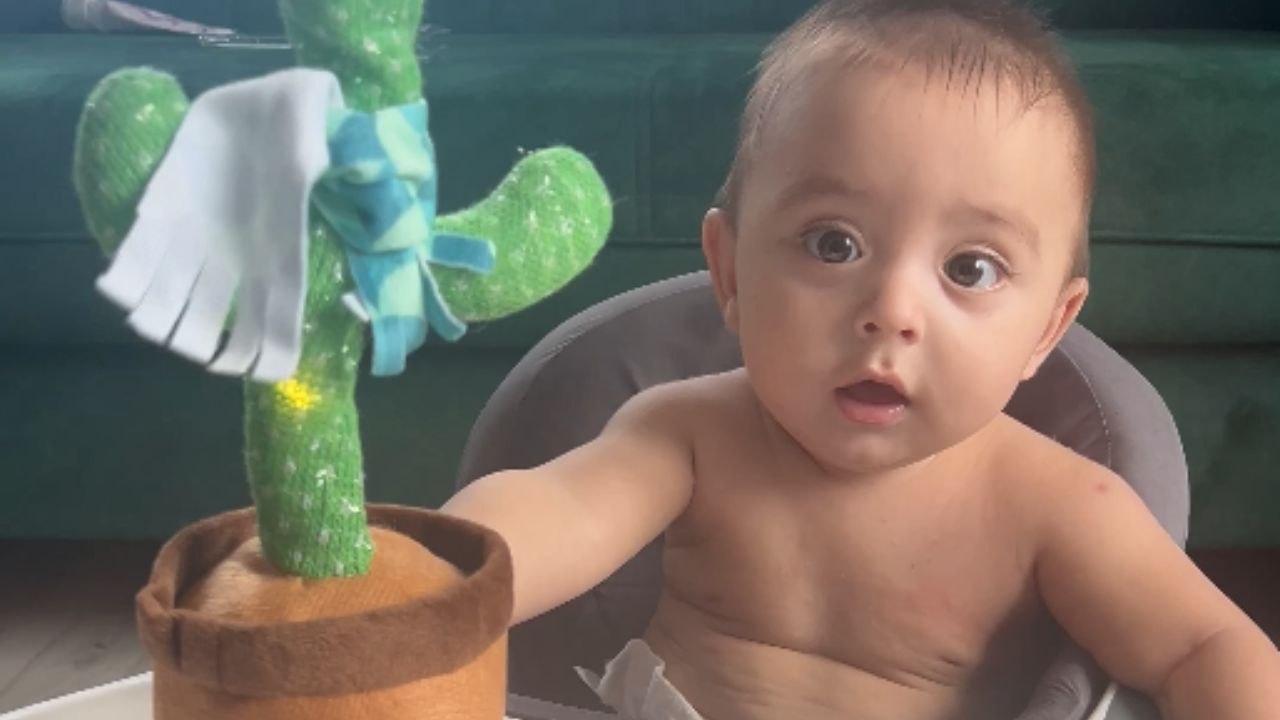 Baby feels distressed as dancing cactus echoes his cries