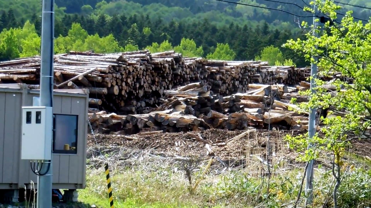 Huge Timber Industry in Hokkaido Japan!