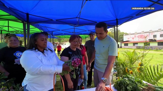 Comuna Huellas de la Historia impulsa la producción agrícola en Miranda