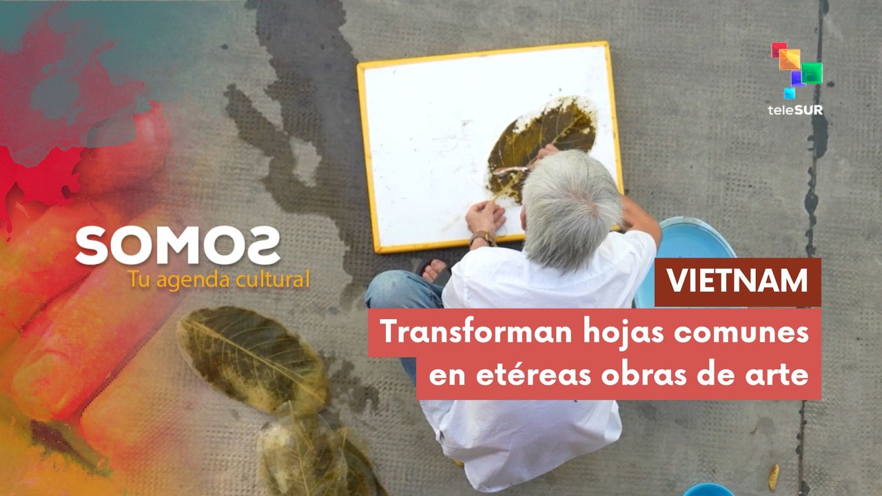 SOMOS | Vietnam | Transforman hojas comunes en etéreas obras de arte 10-06-2026