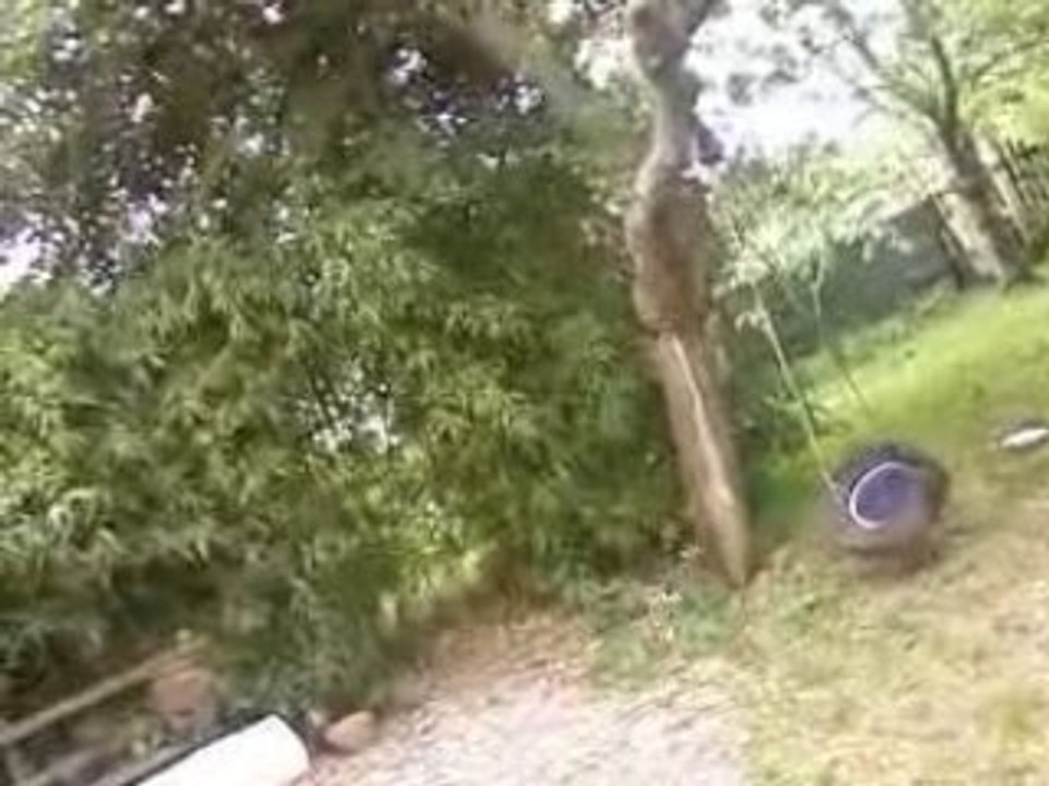 Lamasoni