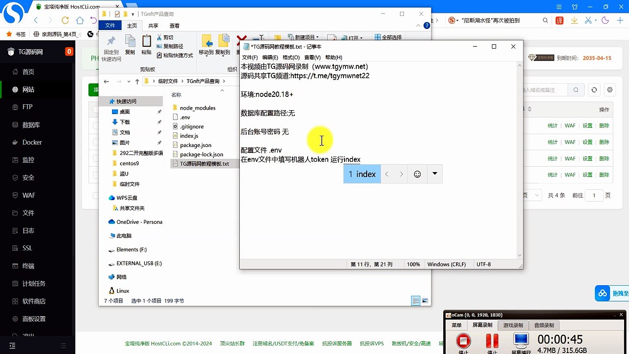 TON多功能查询机器人完整部署教程｜Telegram区块链查询Bot从零搭建 - k8源码网
